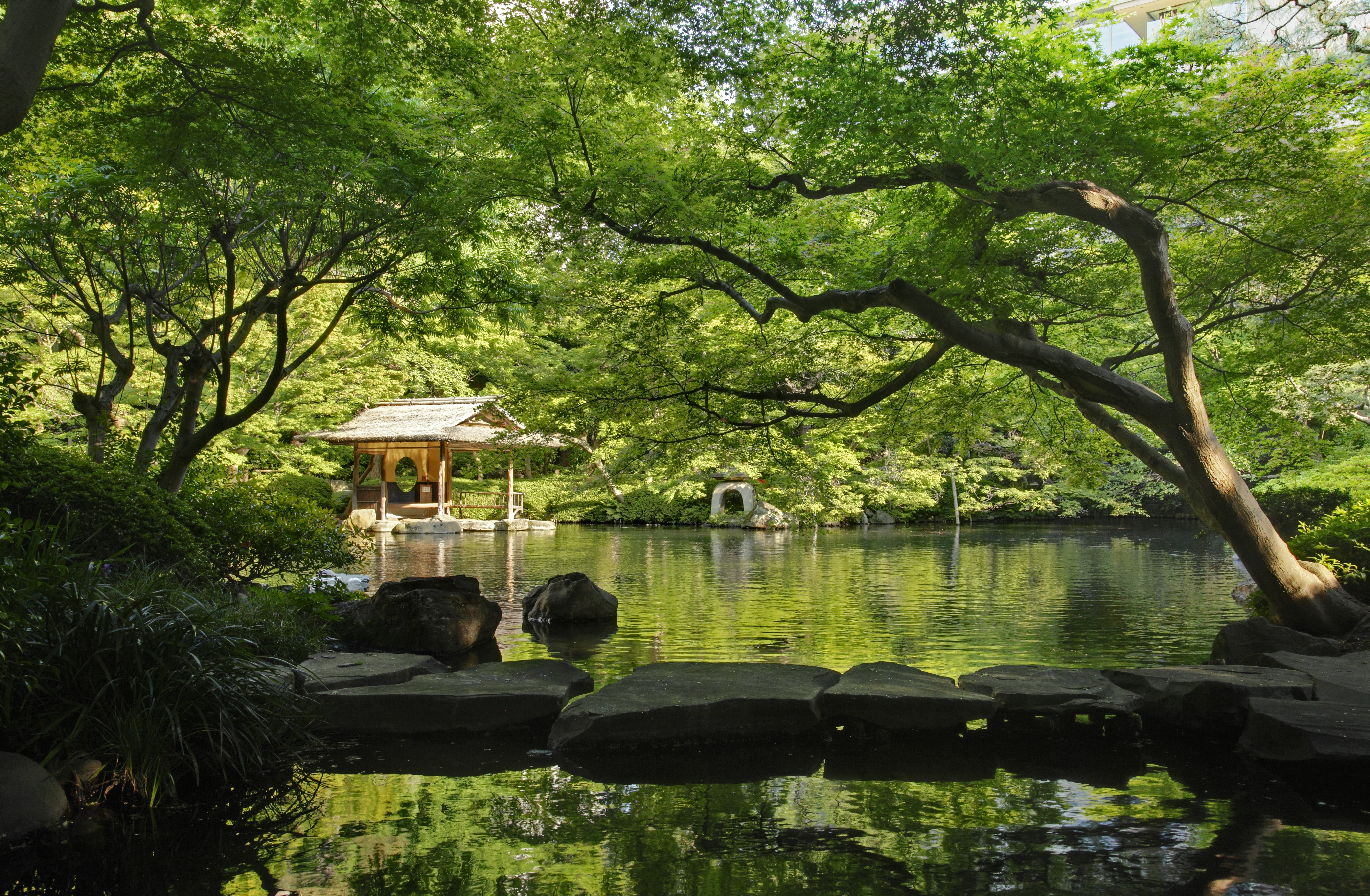 八芳園的設計哲學，精髓在於「梳理自然（自然を整える）」。©八芳園