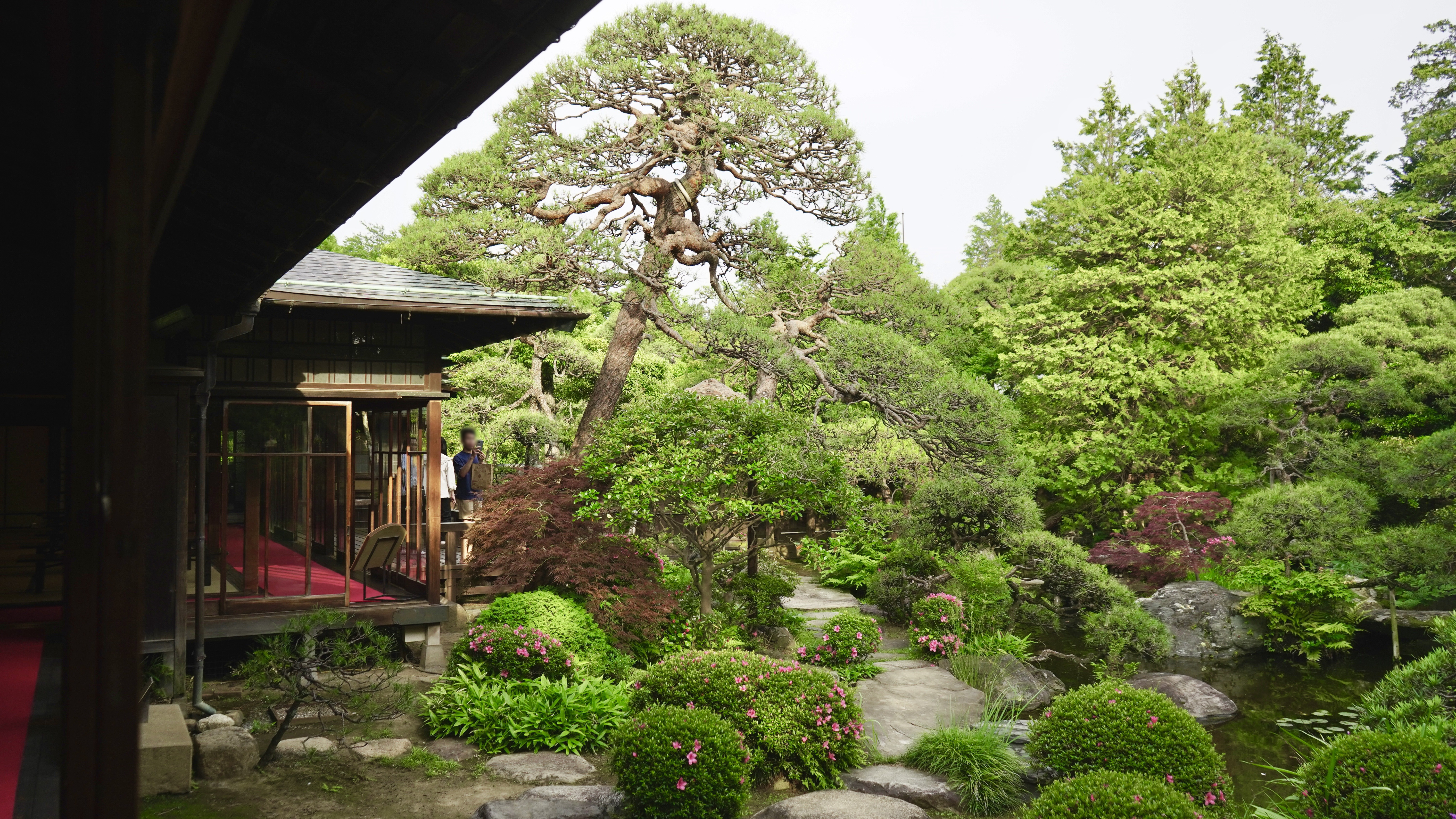 漫步在山本亭，彷彿置身於「大正浪漫」的經典場景中。©葛飾区山本亭