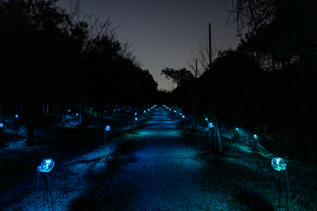 岸裕真與竹森達也作品《Botanical Intelligence Moon Edition》。【Photo by Naoki Takehisa】岸裕真+竹森達也_Botanical Intelligence Moon Edition