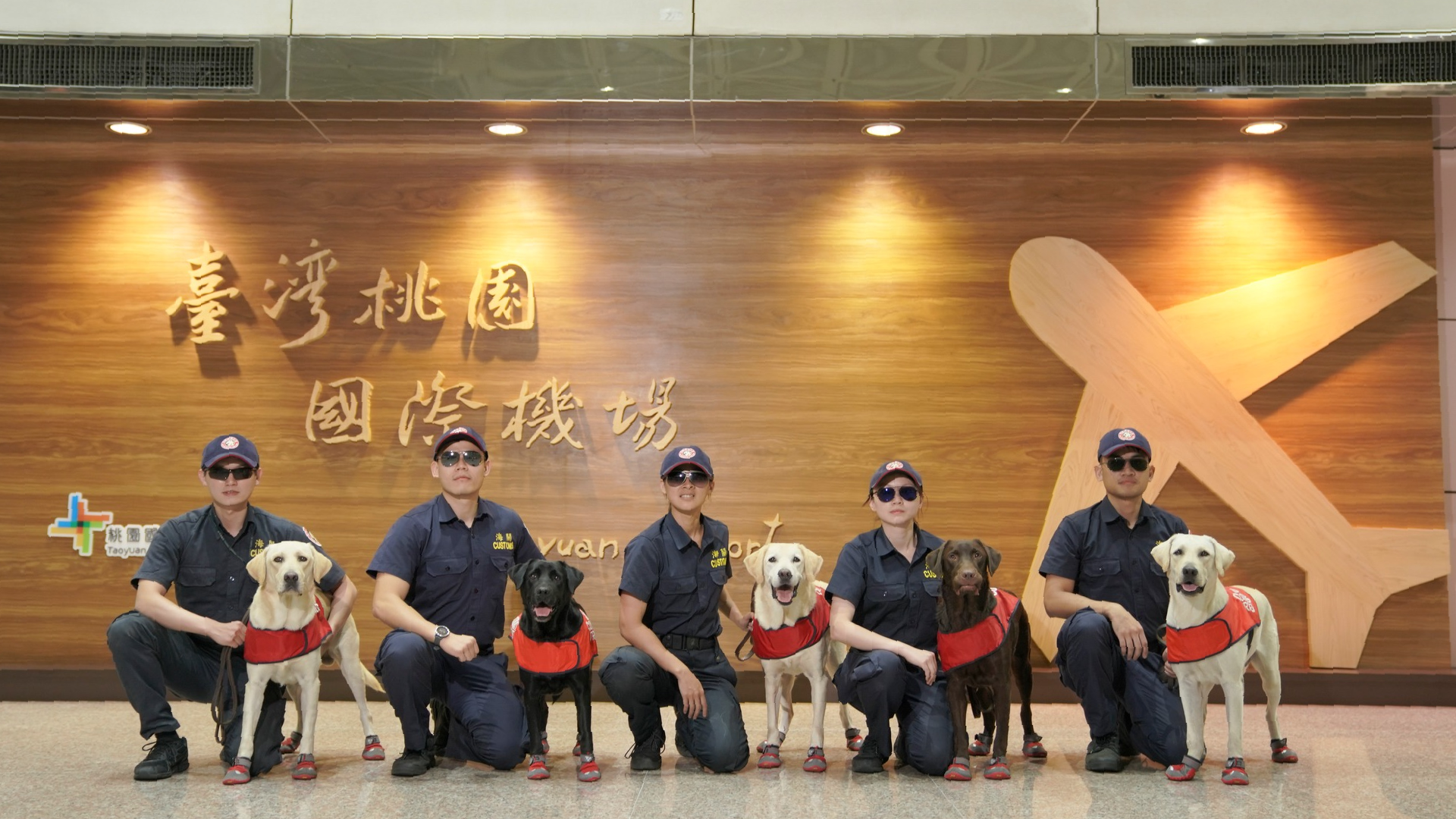嗅覺超群的無聲守護者:機場緝毒犬的一天 1 (圖/海關緝毒犬FB)
