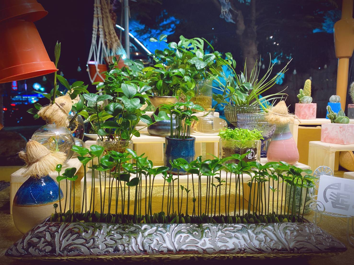 課程內容涵蓋園藝治療的五感體驗、綠藝術、綠植栽、綠飲食、綠手作…等元素（圖為廠商提供）