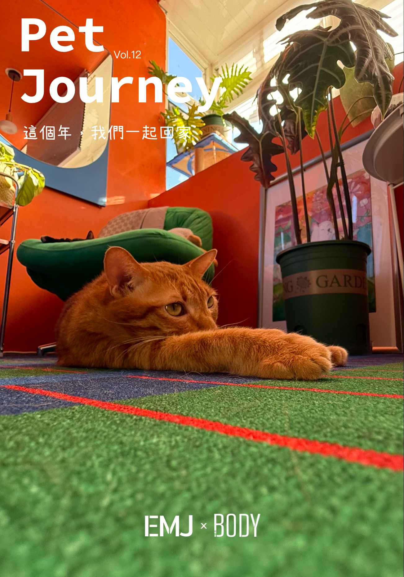 《PetJourney 寵旅誌 Vol.12》｜這個年，我們一起回家 4