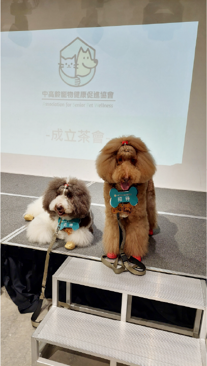 活動現場兩位可愛吸睛的大毛孩，熱情接待來賓！