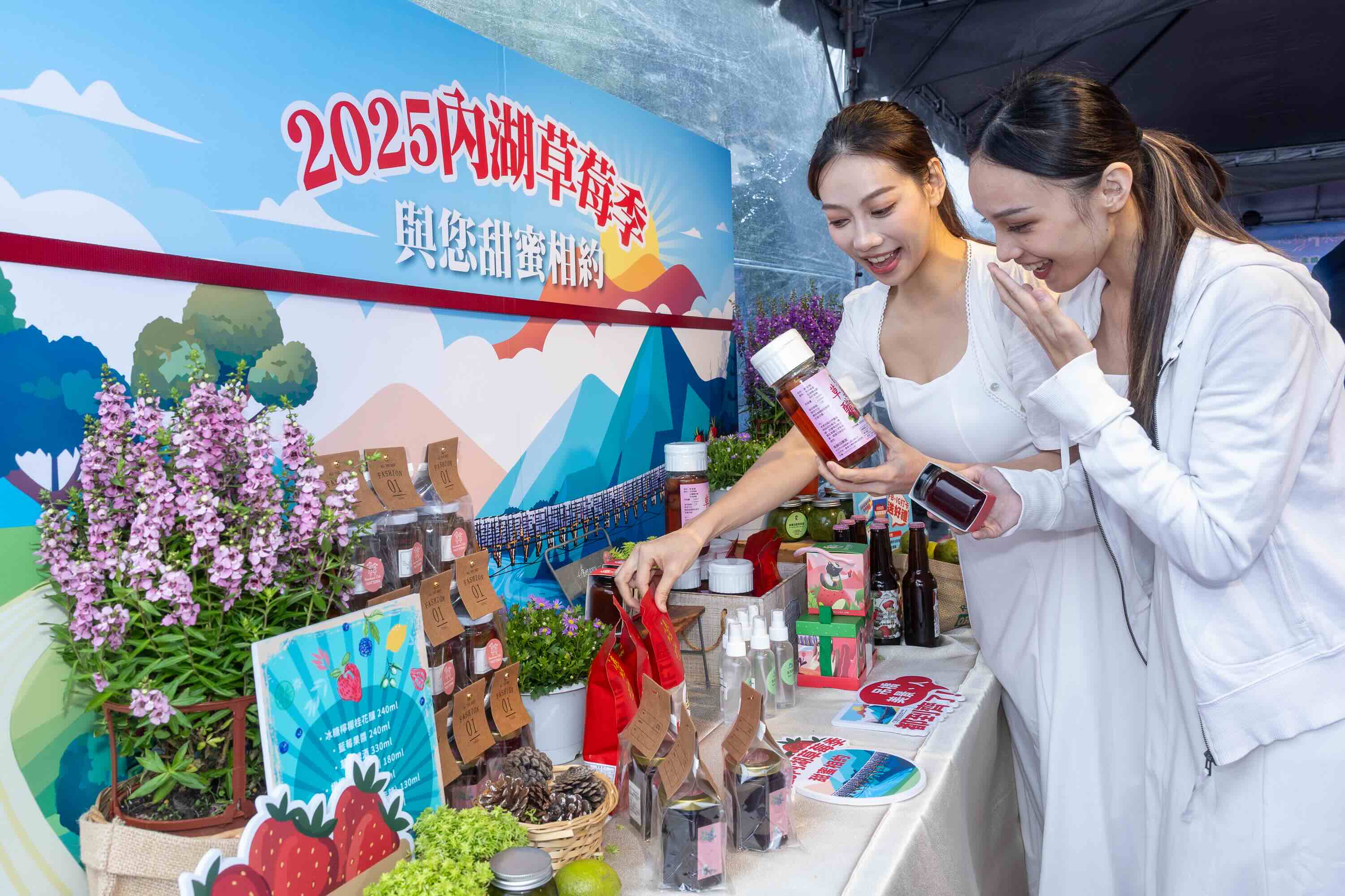 白石湖吊橋全新啟用迎冬季　草莓季接力登場、帶動內湖觀光再升