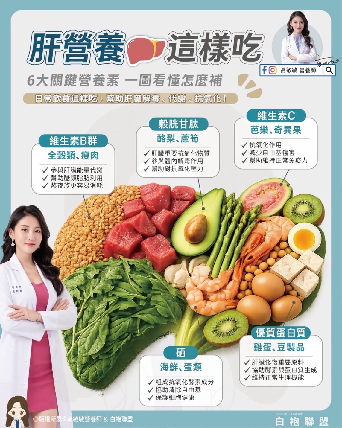 肝臟有多重要？每天都在幫我們做什麼？