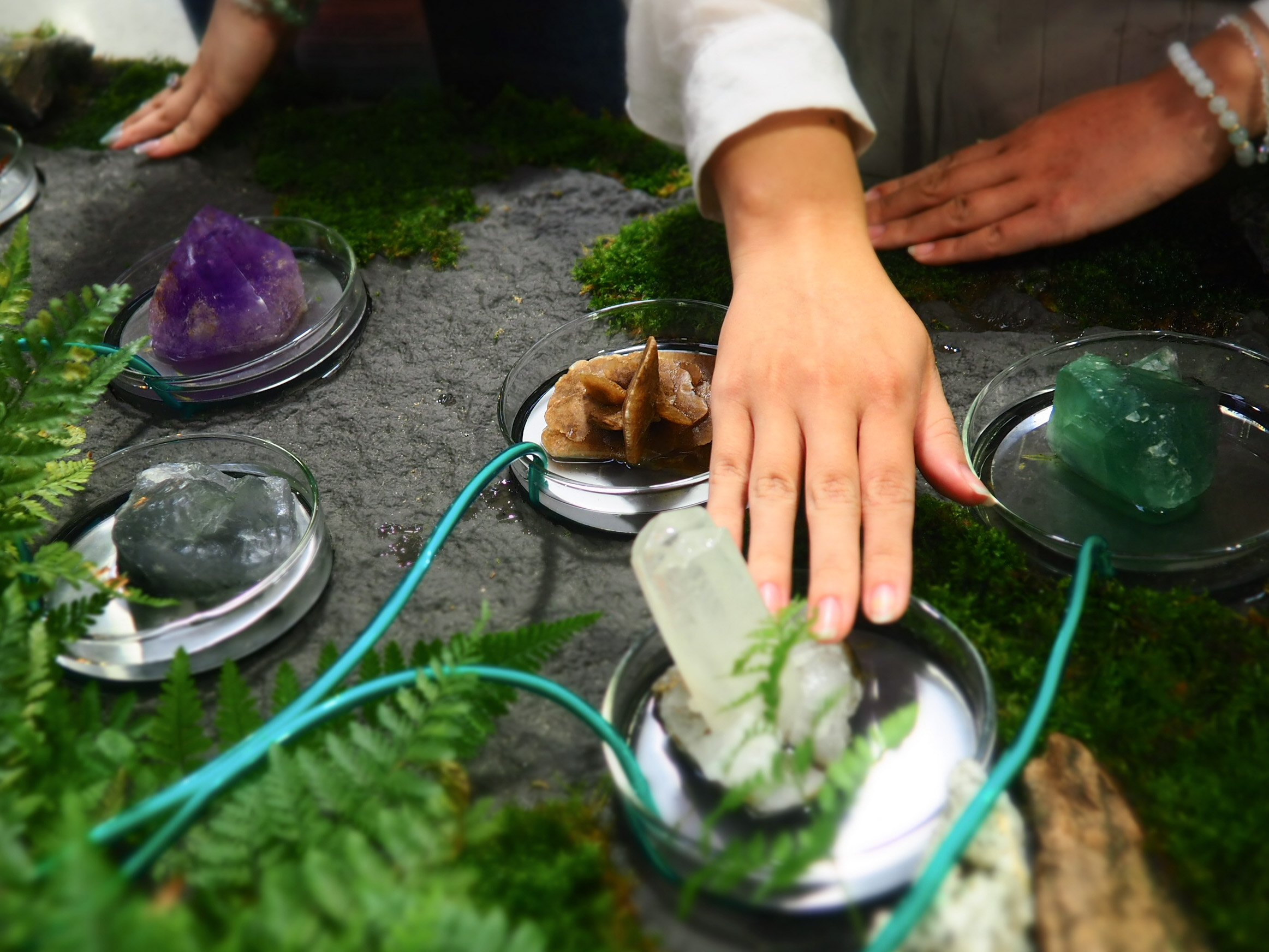 圖3. 9月23日中午12點，富邦美術館LINE@限時發送通知，搶票成功即可免費兌換限量觸摸水晶名額。