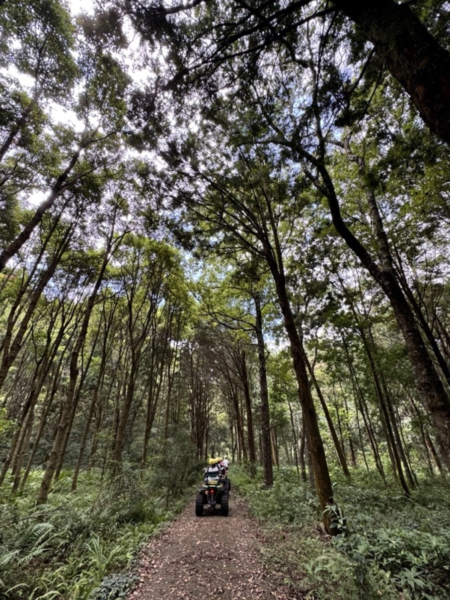 跟著飛鼠飛進秘境！大甲溪流域探險之旅開啟文化與自然的奇妙篇章 2