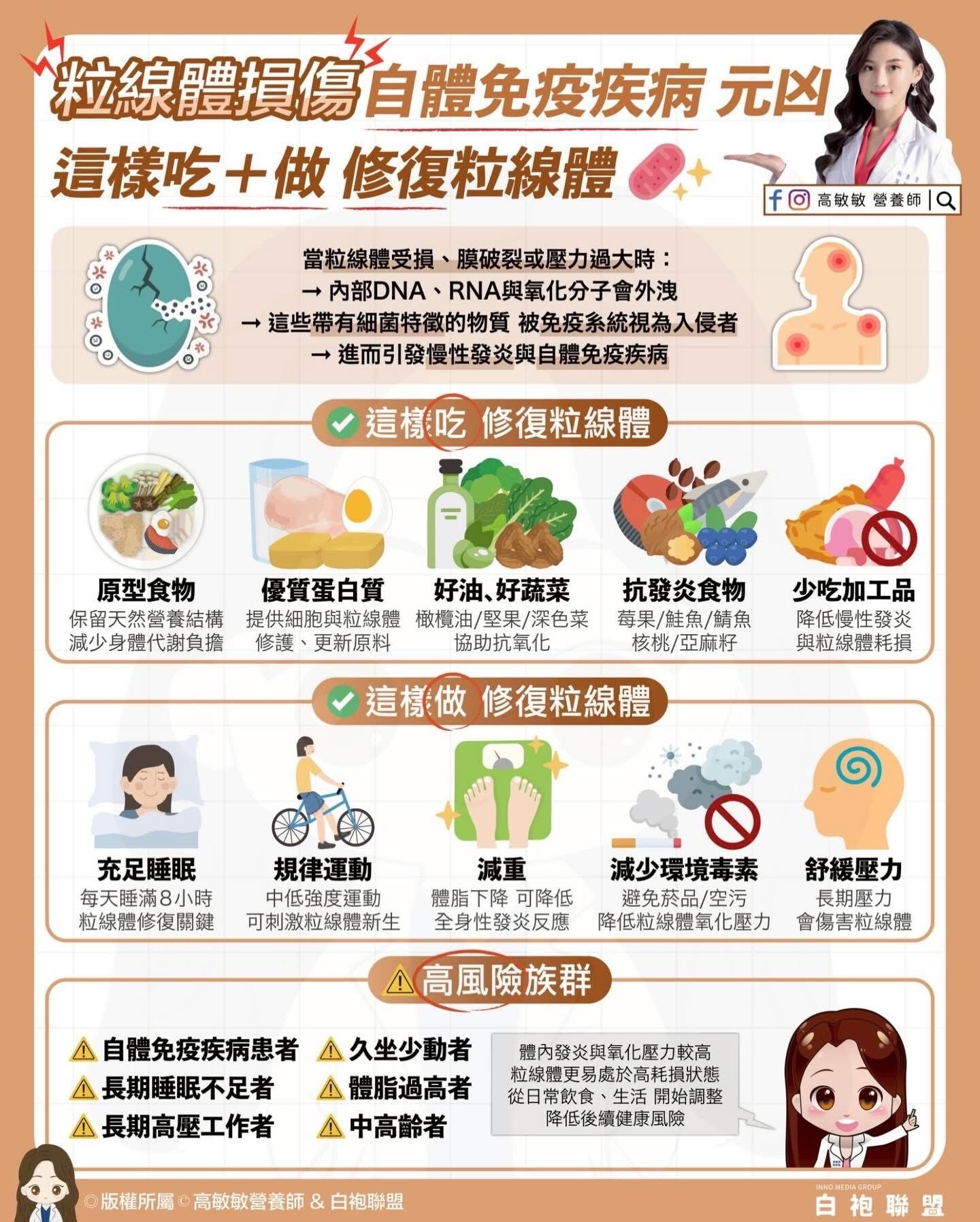 2026 粒線體損傷與自體免疫疾病有關嗎？從飲食與生活修復能量工廠的關鍵策略 1