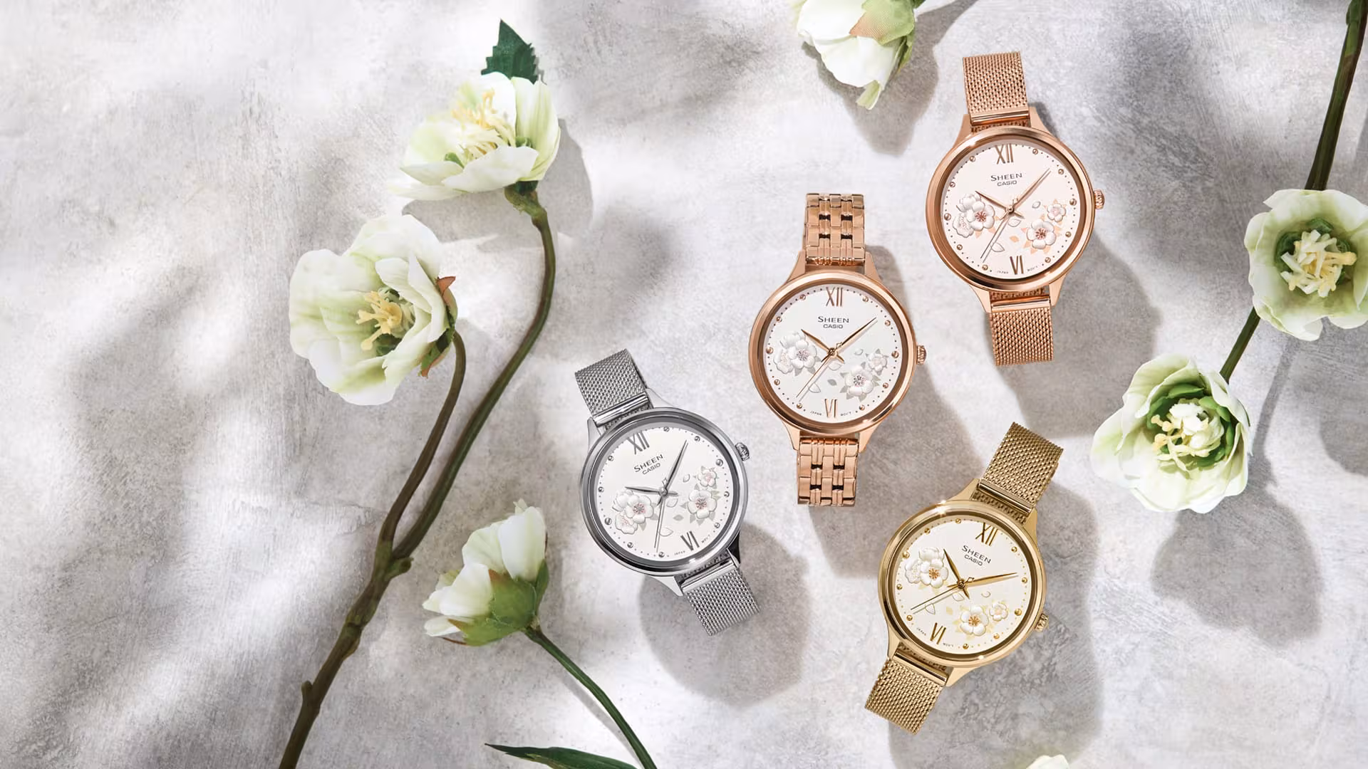 CASIO SHEEN 聖誕玫瑰網格錶