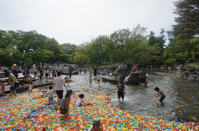 戲水池，漂浮滿滿彩球，大人小孩的嬉笑聲交織著清涼水聲，捕捉夏日限定的畫面。©府中市郷土の森博物館