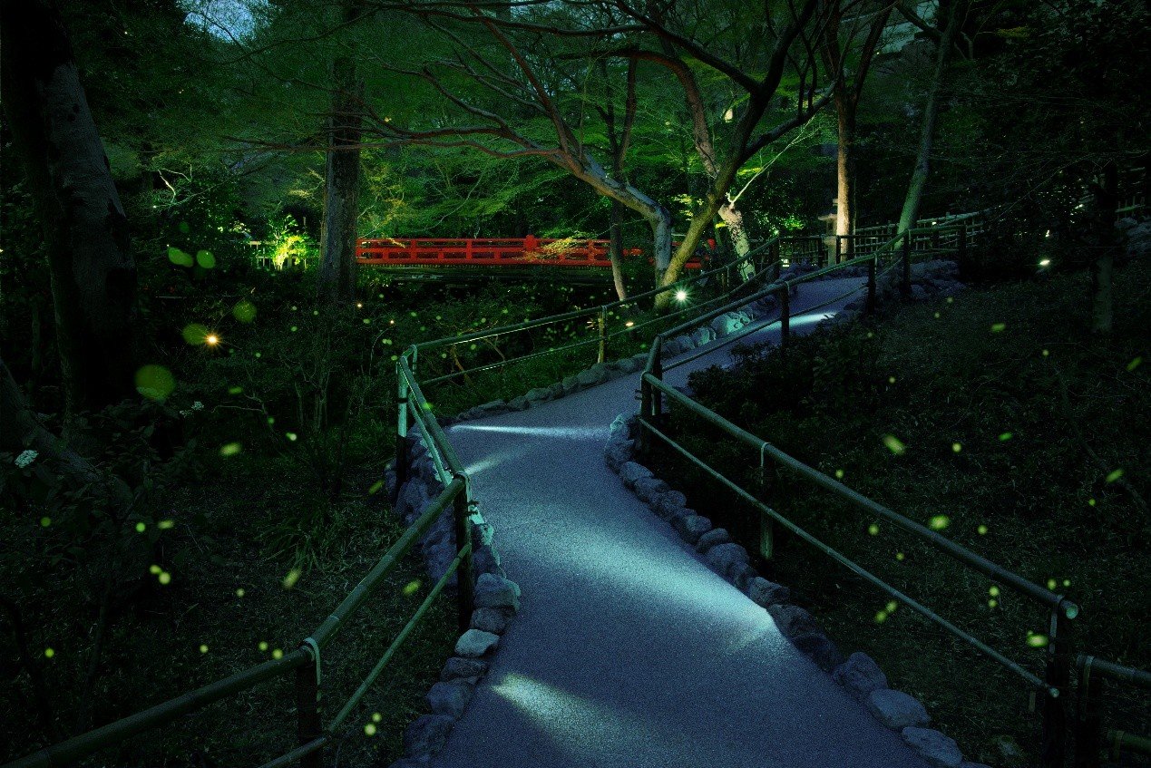 東京樁山莊飯店每年舉辦的「螢火蟲之夜」的賞螢活動，今年也備受期待。（©ホテル椿山荘東京）