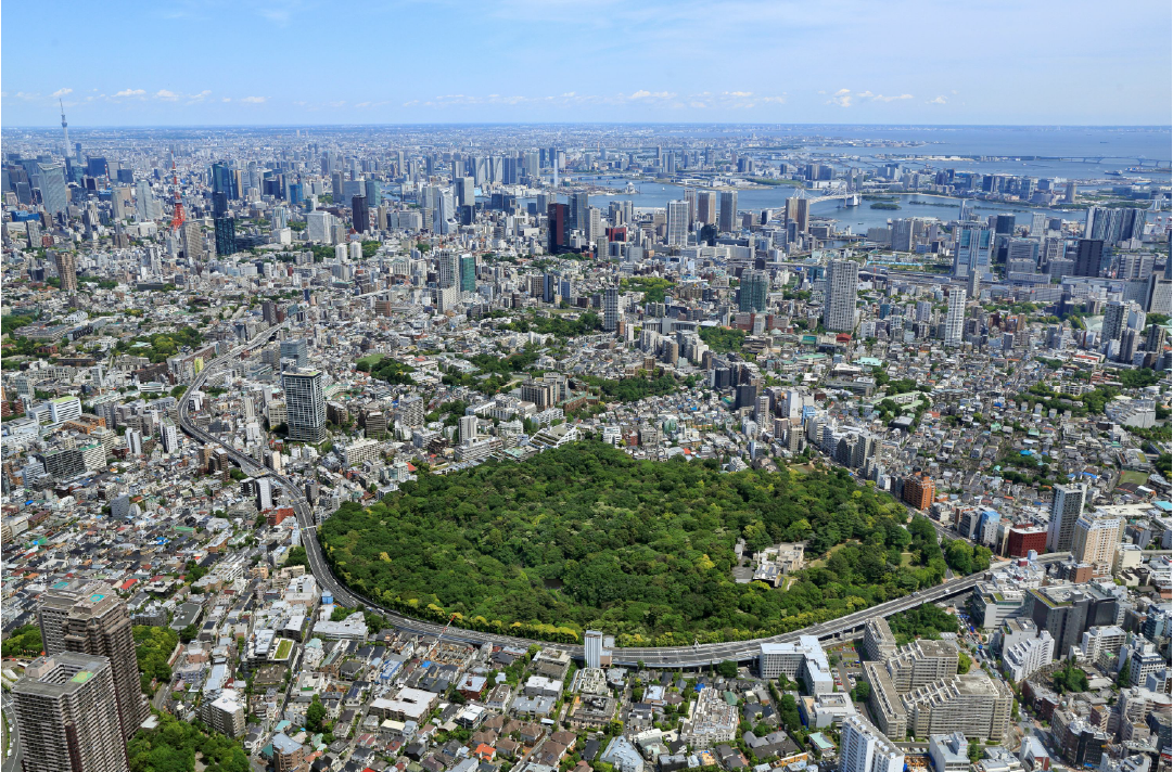 從空中俯瞰的自然教育園全景。周圍被都市建築環繞，仍清晰可見的大片完整綠地，彷彿一片都市綠洲。圖片提供：國立科學博物館附屬自然教育園